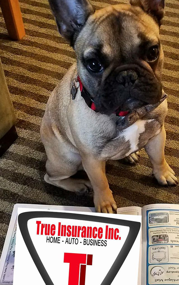 True Insurance